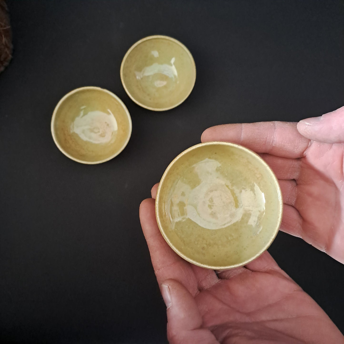 Set di ciotole in gres linea "SALVIA"
