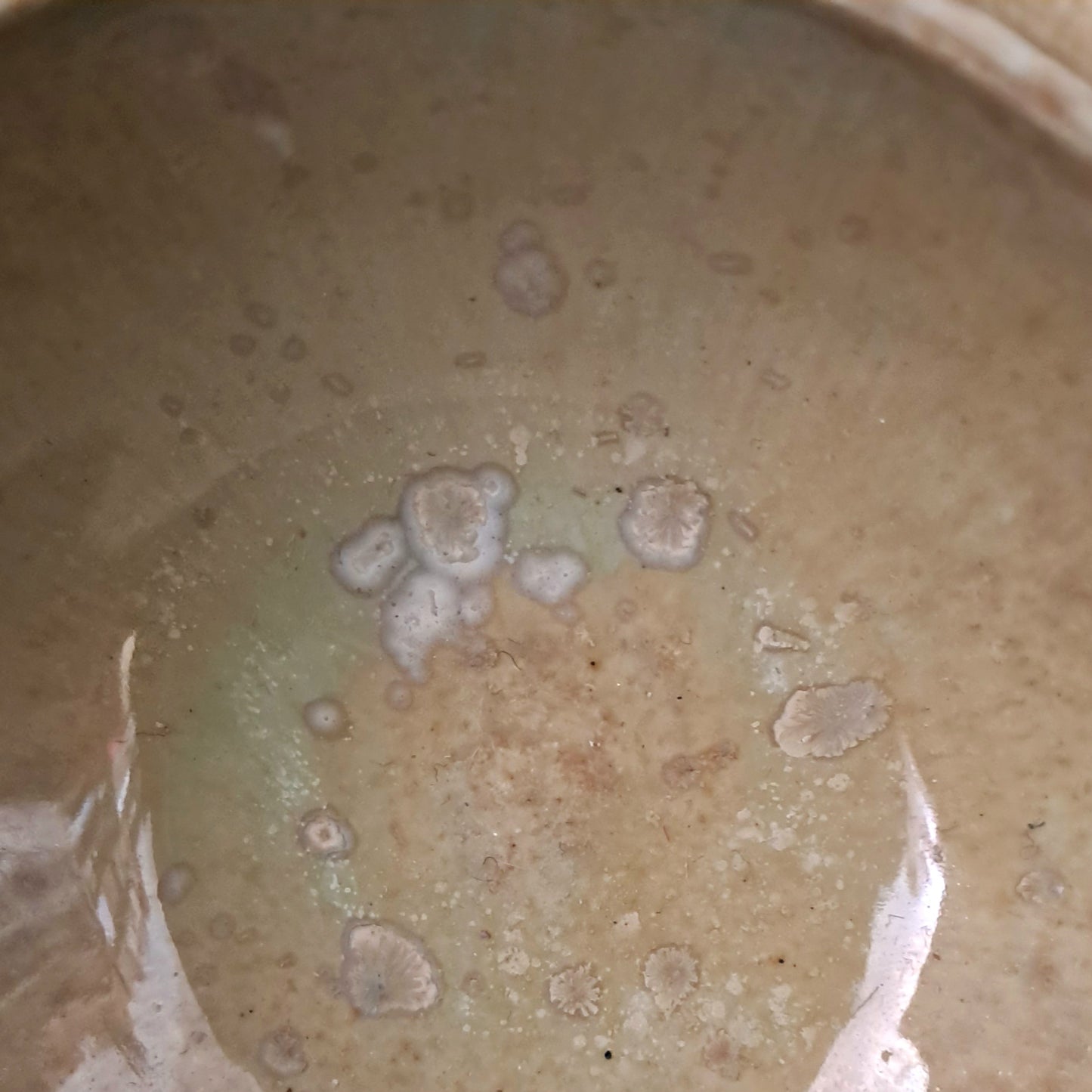 Set di ciotole in gres linea "SALVIA"