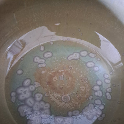 Vaso in gres linea "TERRA"