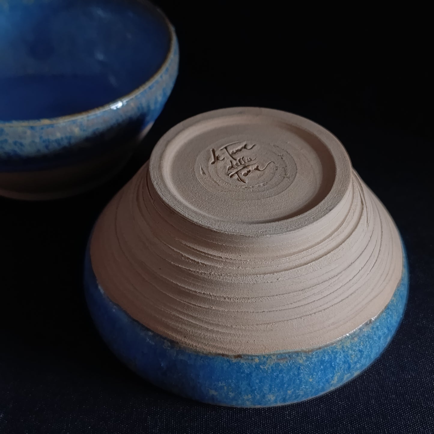 Set of 2 "BLUE" line bowls