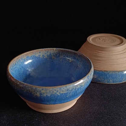 Set of 2 "BLUE" line bowls