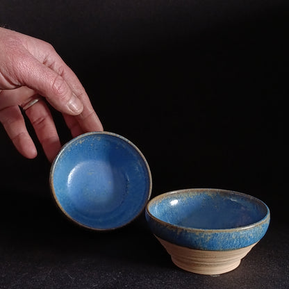 Set of 2 "BLUE" line bowls