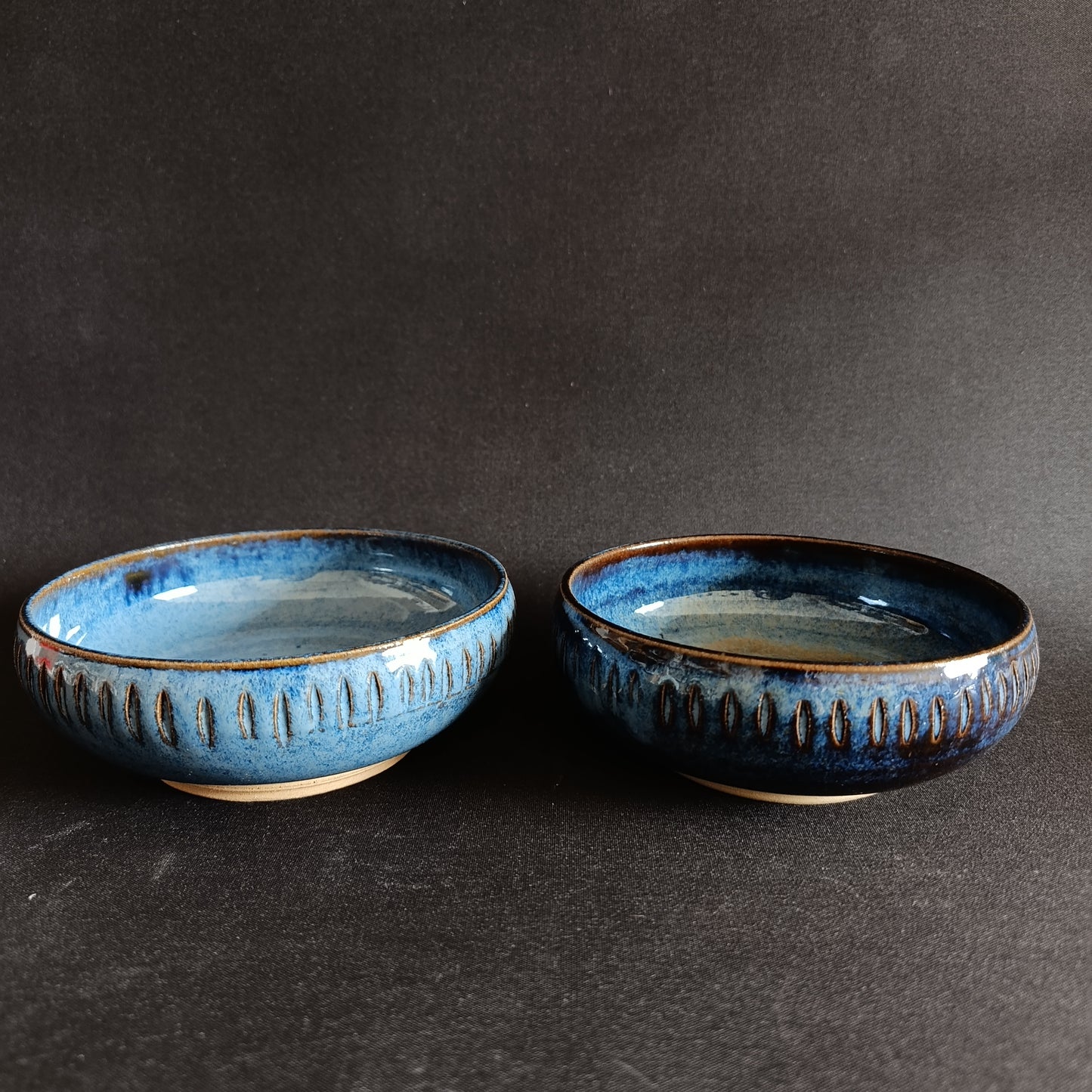 Set da 2 ciotole linea " BLU"