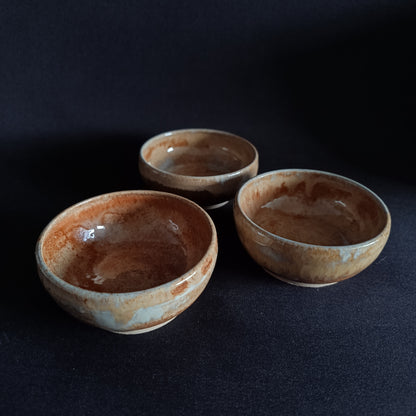 Set mit 3 "TERRA"-Schalen