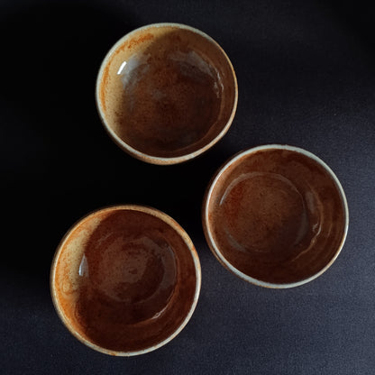 Set mit 3 "TERRA"-Schalen