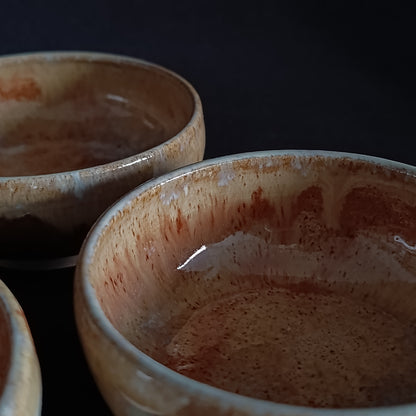 Set mit 3 "TERRA"-Schalen