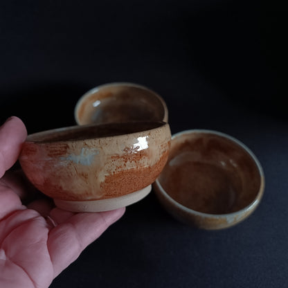 Set mit 3 "TERRA"-Schalen