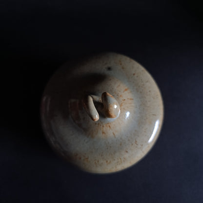 Stoneware jar with lid from the "TERRA" line