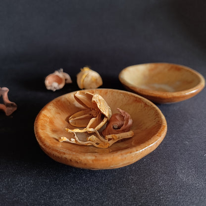 Set da 2 ciotoline linea "TERRA"