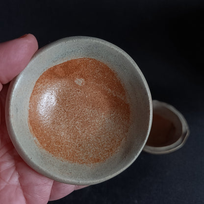 Set da 2 ciotoline linea "TERRA"