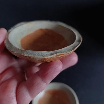 Set da 2 ciotoline linea "TERRA"