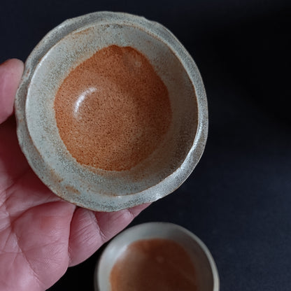 Set da 2 ciotoline linea "TERRA"