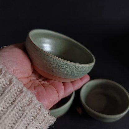 Set aus 3 "SALVIA"-Schüsseln