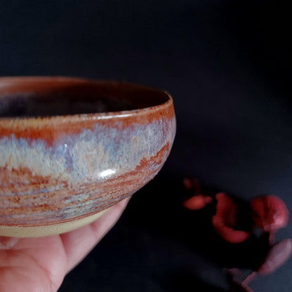 Ciotoline linea "ARCOBALENO"