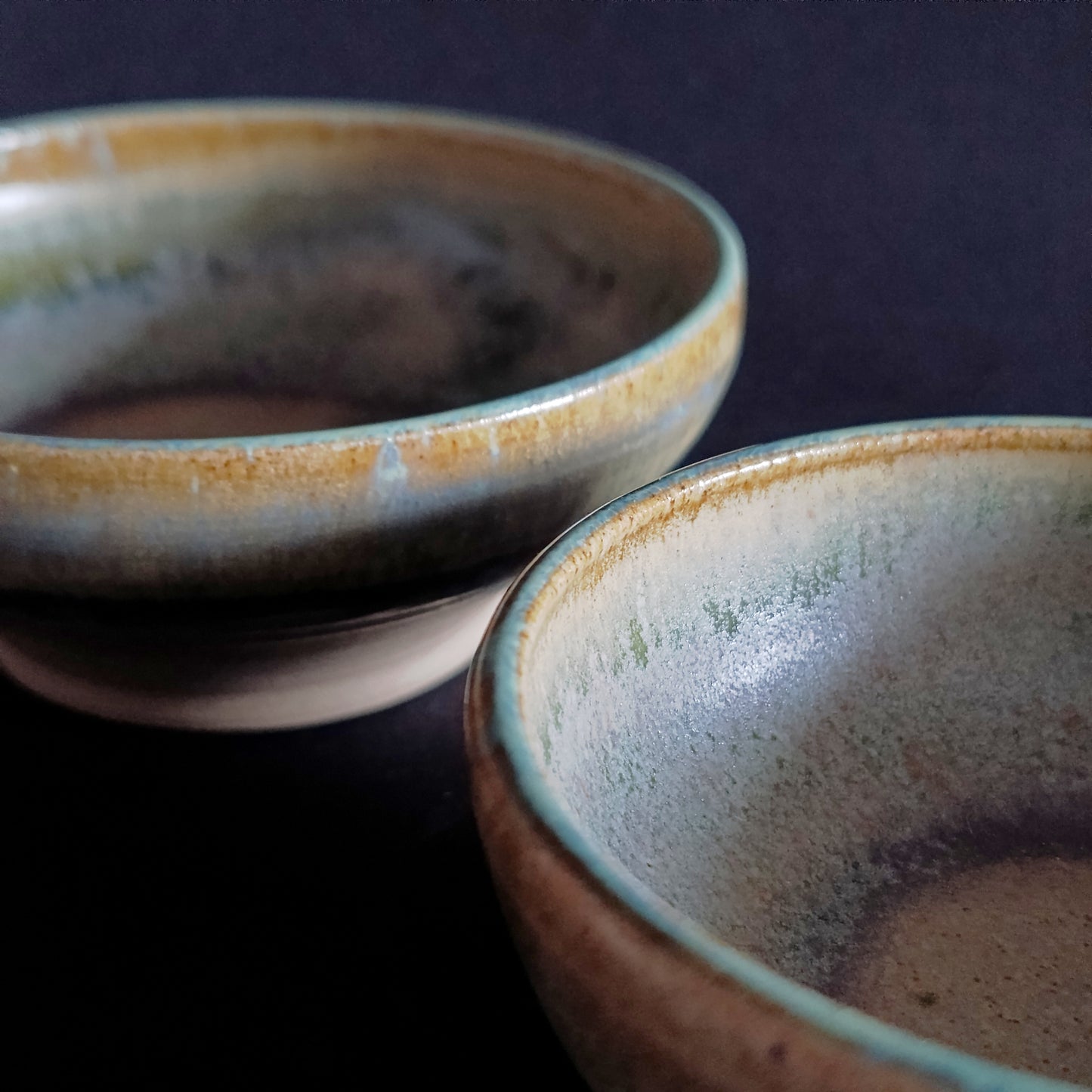 Set of 2 bowls from the "SALVIA" line