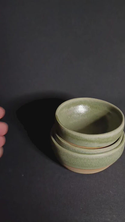 Set aus 3 "SALVIA"-Schüsseln