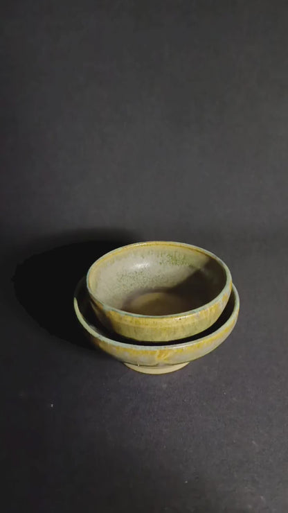 Set of 2 bowls from the "SALVIA" line