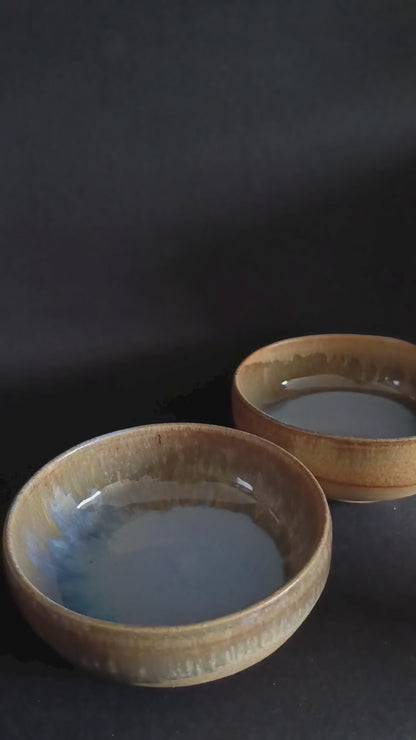 Set aus 2 Schüsseln der Serie „TERRAMARE“.