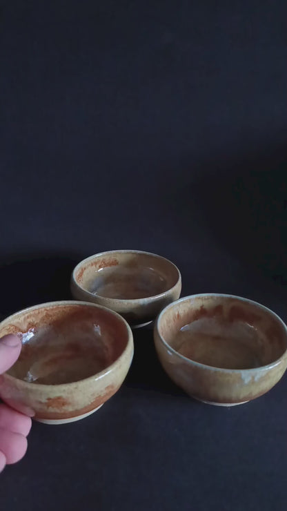 Set mit 3 "TERRA"-Schalen